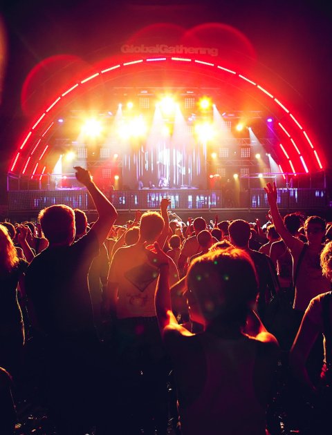 Festivals & Concerts